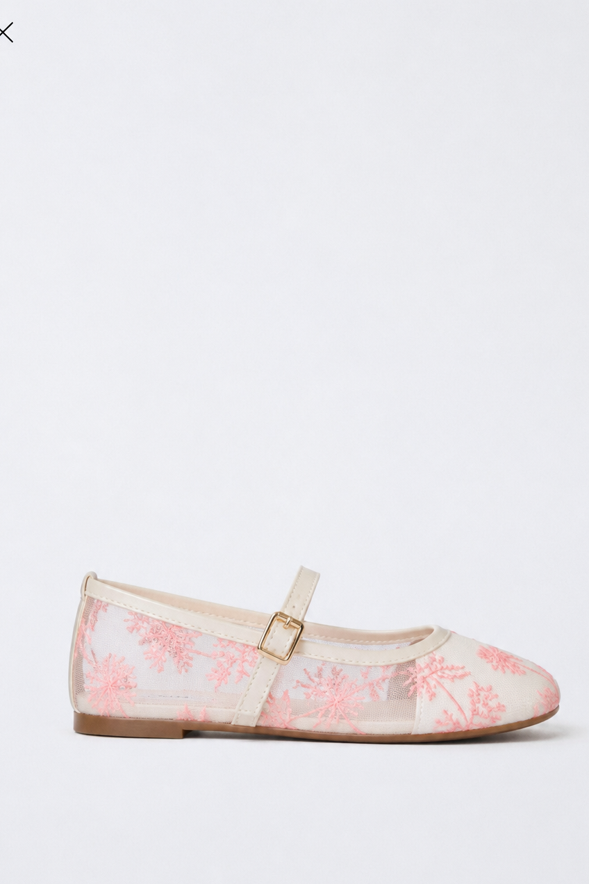 Ballerines brodées